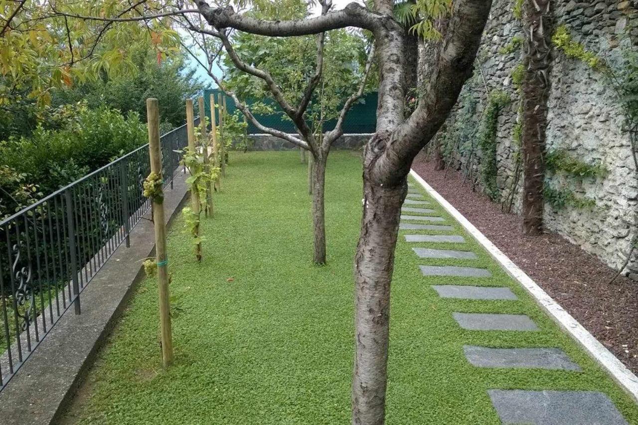 Domus Cusiana Complesso Vista Lago E Piscina Miasino Exteriér fotografie